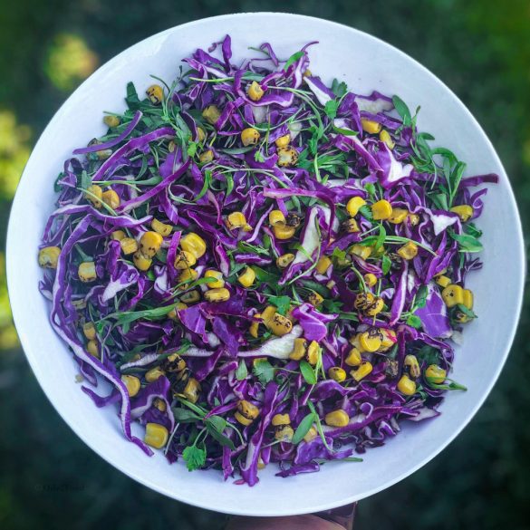 Cumin-Lime Vinaigrette w/ Rainbow Salad